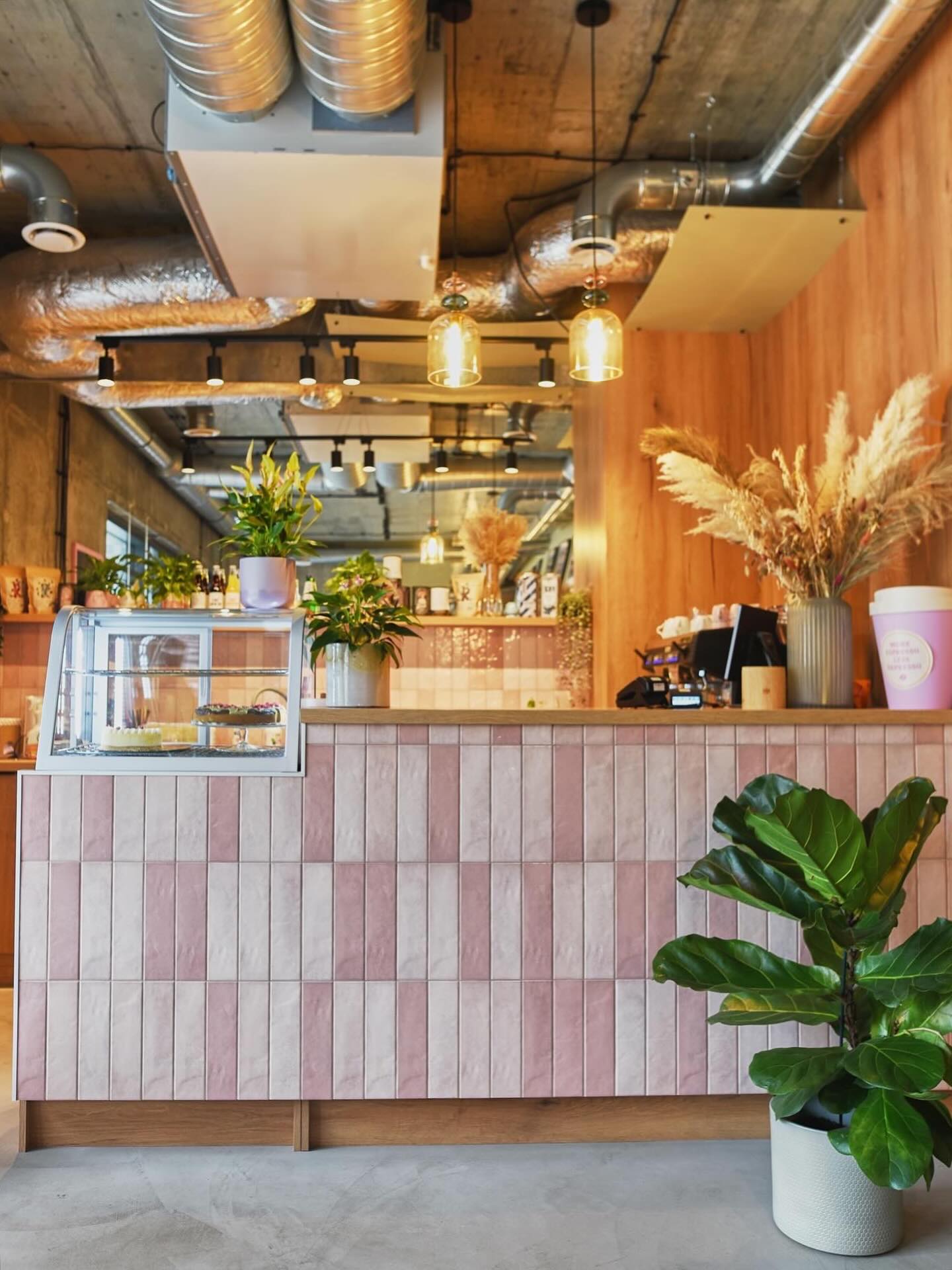 491507434_17923870191064870_5907560003771678442_n